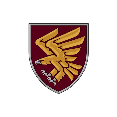 95th Air Assault Brigade chevron